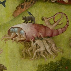 She Wants Me (To Be Loved) - The Happy Fits Cover