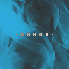 SHNKR SATR (Live Mixes)