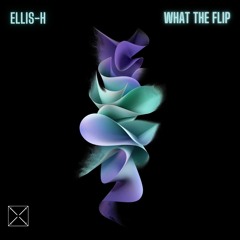 ELLIS-H - WHAT THE FLIP