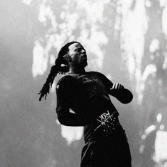 Playboi Carti - ROCKSTAR reprod. NIV