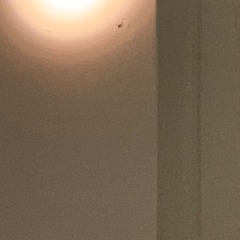 섬광 Acoustic ver. (with. Tommy)