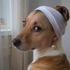 Canine Coquetry, instrumental mix*