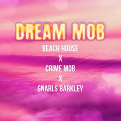 Dream Mob