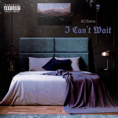 I Can't Wait [Prod. Palaze]