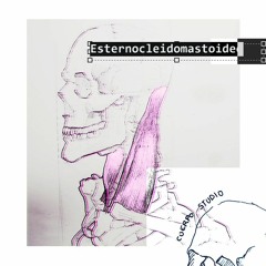 Esternocleidomastoideo