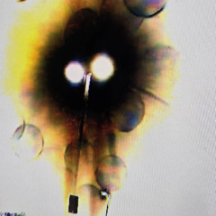 Vanished (Non-Photo Noir Remix)