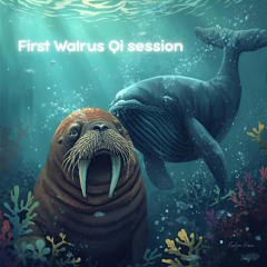 First Walrus Session 28 September 2025