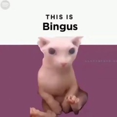 bingus