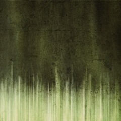 BCCO Premiere: Alberto Tolo - Peacock's Land