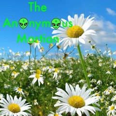 Tender memory of a beautiful flower in my heart