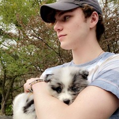 Insomnia (Draft One)