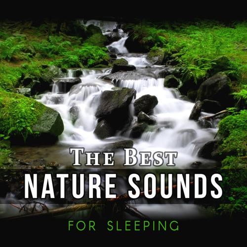 Stream Deep Sleep Music Ensemble | Listen to The Best Nature Sounds for  Sleeping - Sound Therapy for Relieving Insomnia and Stress Relief,  Relaxation Music, Deep Sleep and Meditation playlist online for