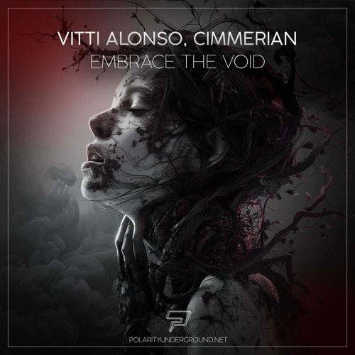 Embrace the Void (Original Mix)