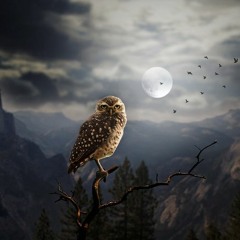 Nightlife