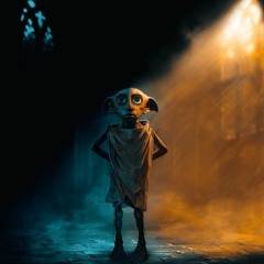 Harry Pot De Kouilles