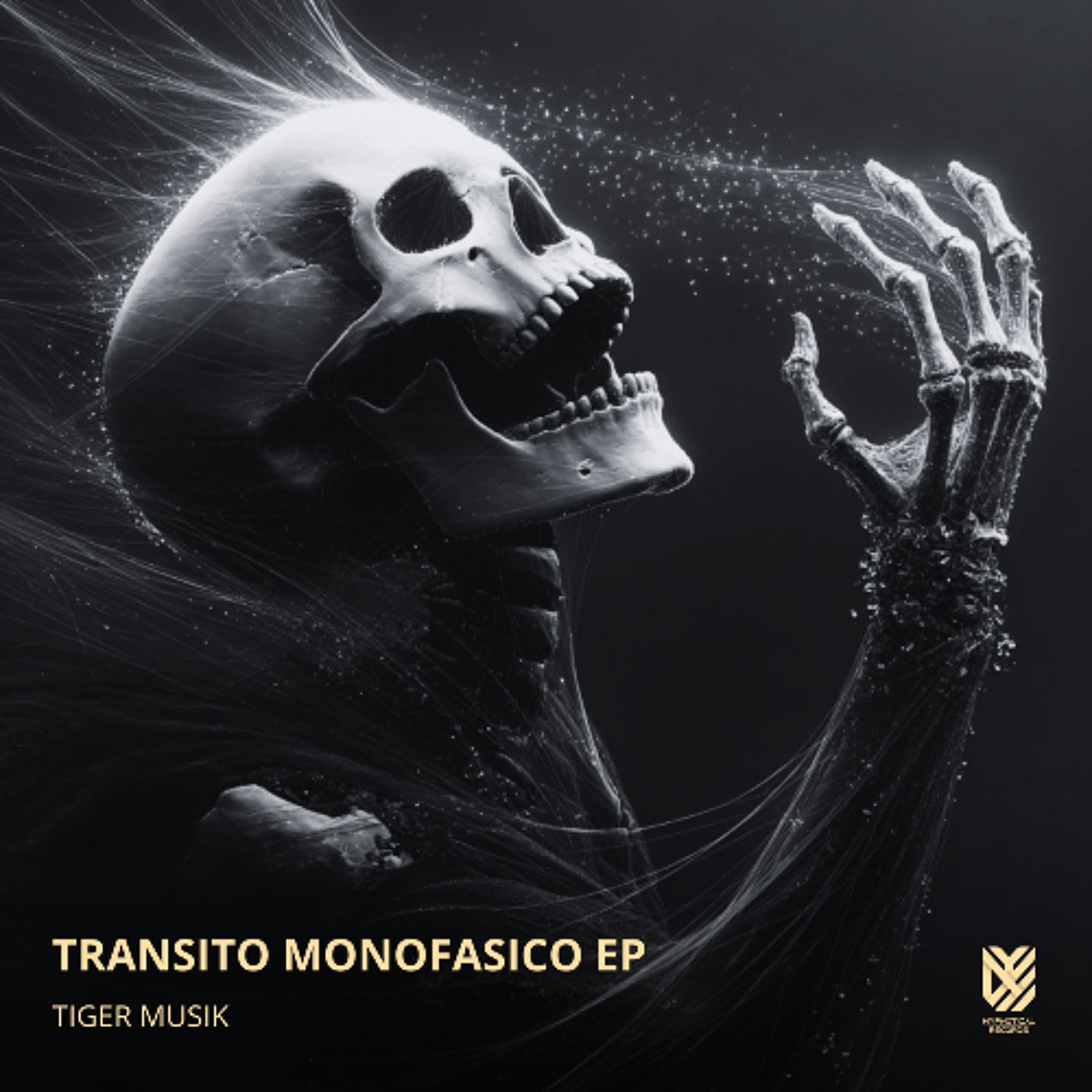 Portada de Tiger Musik
