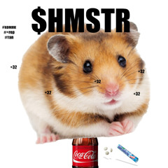 $HMSTR