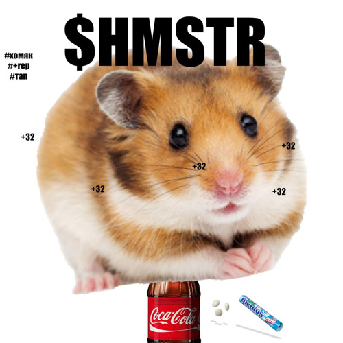 $HMSTR
