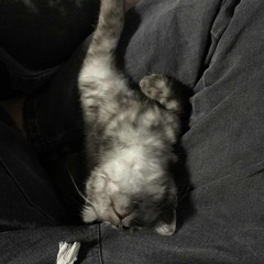 làm người yêu em nhé baby