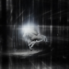 Imer6ia invite Arven b2b k1000reloaded Esthian's spares - 21 février 2025