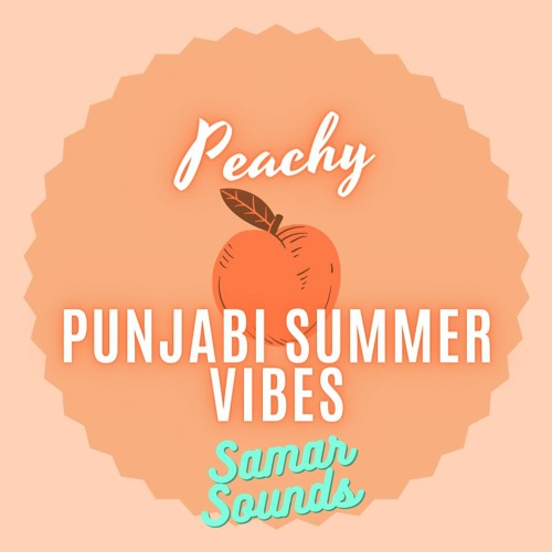 Punjabi Summer Vibes- SamarSounds