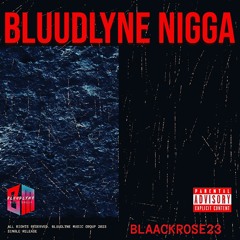 BLUUDLYNE NIGGA