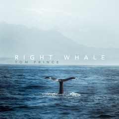 Right Whale