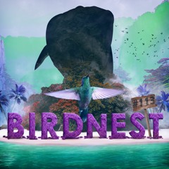 BIRDNEST #113 / The Land of Sandcastles