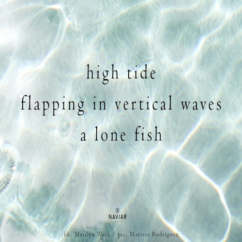 halF verticaL [naviarhaiku430]