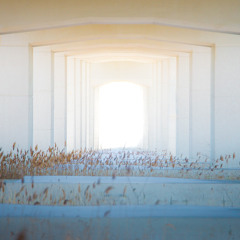 Que le vent sonne les échos du paysage (2025)