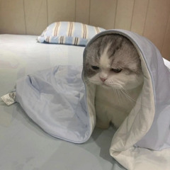 CUKUP #EXC 2K25 [ EwingDTM ] Keep