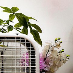 tomorrow - eat the poison [HYPER]