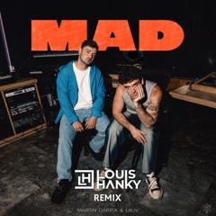 Martin Garrix & Lauv - MAD (Louis Hanky Remix)
