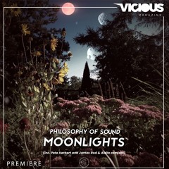 PREMIERE: Philosophy Of Sound - Moonlights (Pete Herbert Dub Remix) [Golden Soul]