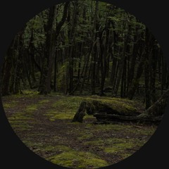 CODECAST Y - Doemdenker - Weather Machine