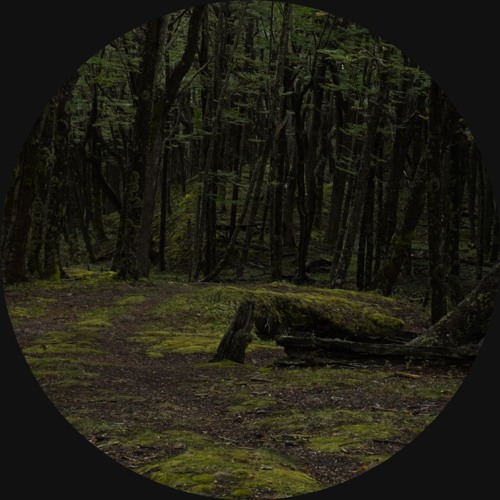 CODECAST Y - Doemdenker - Weather Machine