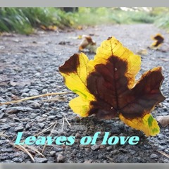 Leaves Of Love (Original Mix)