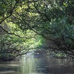 Floating Down The River Of Relax