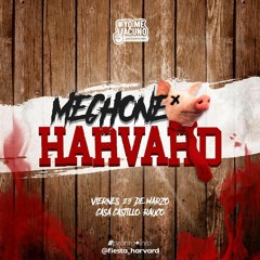 Mechoneo Harvard - Previa Fiesta