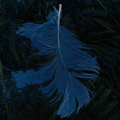 Bonobo - Walk On The Sky Feat. Bajka (Ghek Edit) FREE DOWNLOAD