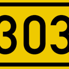 303