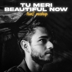 Tu Meri Beautiful - TRON3 Mashup