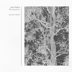 Orca Silent - The Long Grey [OSL039]