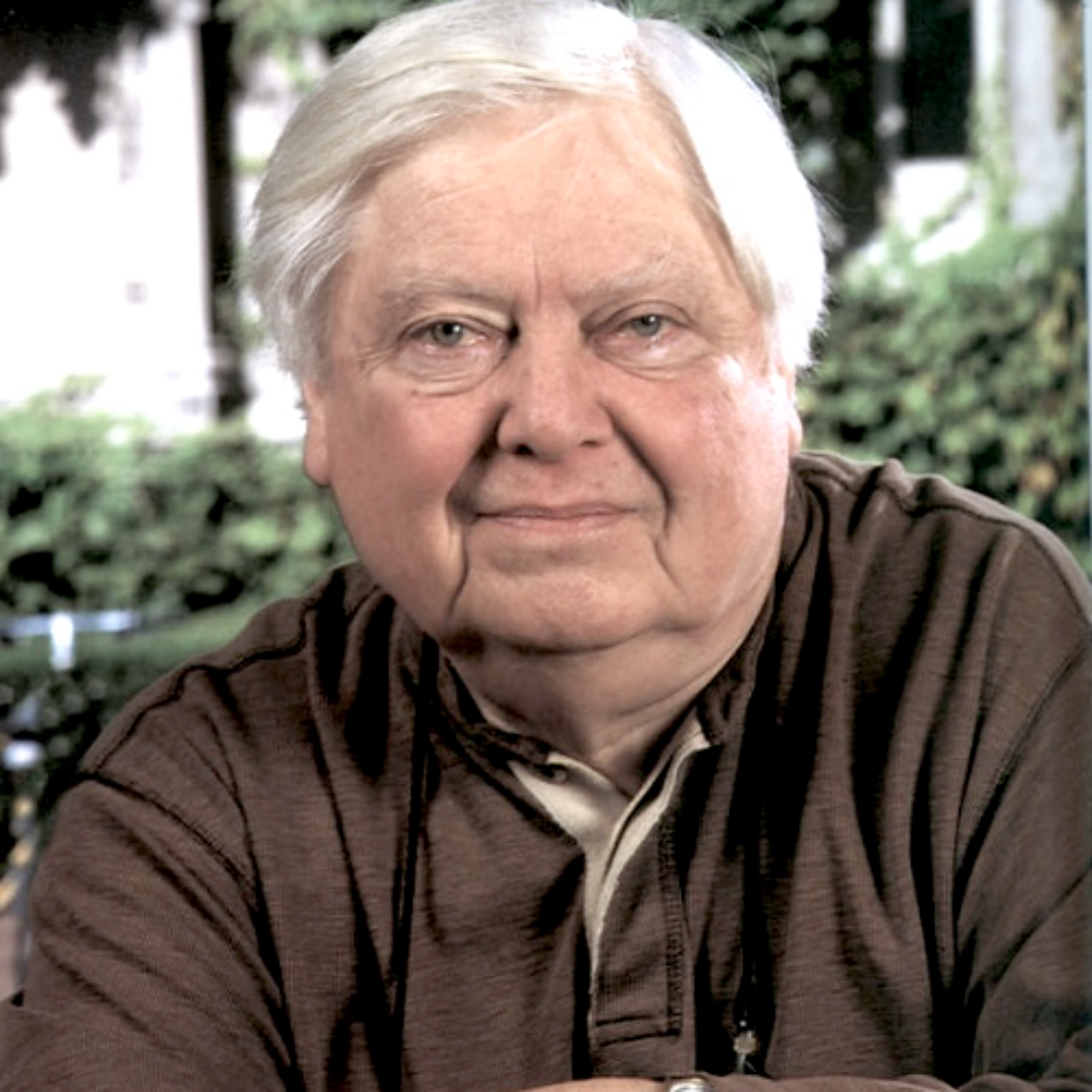 William Gass, The Case Of The Obliging Stranger - The Case and Moral Theories