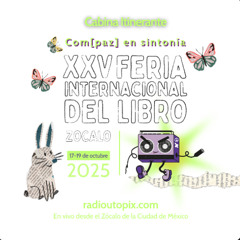 Ludoteca Comunitaria FIL Zocálo 18/10/2025