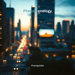 Phenomenology - Prerequisite