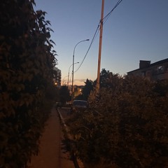 моя шиза