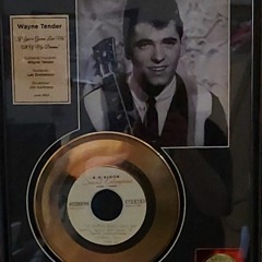 Wayne Tender - If You're Gonna Love Me.mp3