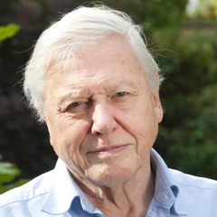 David Attenborough goes on a bender pt2 (shortened)