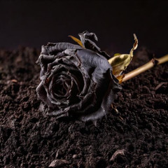 Fazıl Say / Black Earth (Kara Toprak) Cover